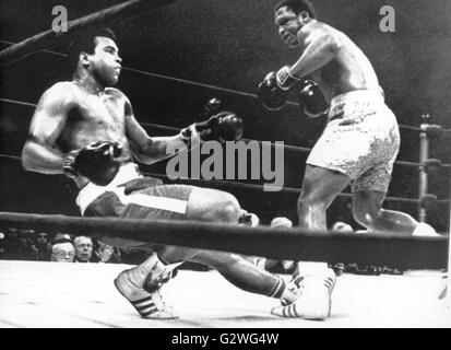 Datei - eine Datei Bild vom 8. März 1971 zeigt uns Schwergewichts-Boxer Muhammad Ali (L) geklopft werden von den Füßen nach der Einnahme eines Schlages auf den Kopf seines Gegners Joe Frazier (R) während ihres Kampfes im Madison Square Garden in New York, USA. Cassius Clay geboren, starb Boxlegende Muhammad Ali, genannt "The Greatest" am 3. Juni 2016 in Phoenix, Arizona, USA, im Alter von 74, sagte ein Sprecher der Familie. Foto: Dpa Stockfoto