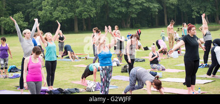 Brentwood, Essex, UK, 4. Juni 2016, Teilnehmer verpflichtet sich ein Sonnengruß an Masse Yogathon zugunsten der Geist Credit: Ian Davidson/Alamy Live News Stockfoto