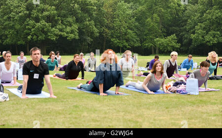 Brentwood, Essex, UK, 4. Juni 2016, Teilnehmer verpflichtet sich ein Sonnengruß an Masse Yogathon zugunsten der Geist Credit: Ian Davidson/Alamy Live News Stockfoto