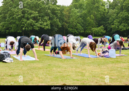 Brentwood, Essex, UK, 4. Juni 2016, Teilnehmer verpflichtet sich ein Sonnengruß an Masse Yogathon zugunsten der Geist Credit: Ian Davidson/Alamy Live News Stockfoto