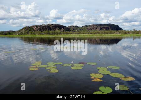 Blick auf die Feuchtgebiete und Auen am Mount Borradaile, in der Nähe von Cooper Creek, West-Arnhemland, Northern Territory, Australien Stockfoto