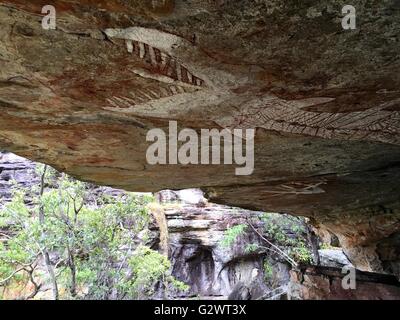 Alten Aborigines Höhlenmalereien bekannt als "Rock Art" finden Sie unter Mount Borradaile, West-Arnhemland, Northern Territory, Australien Stockfoto