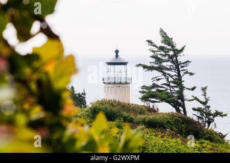 Der North Head Lighthouse steht über dem Laub im Cape Enttäuschung State Park, Ilwaco, Washington, USA. Stockfoto