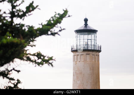 Kiefer-Äste und der obere Teil der North Head Lighthouse. Cape Enttäuschung Staatspark, Ilwaco, Washington, USA. Stockfoto