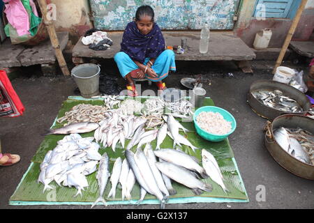 eine Frau, Verkauf von Fischen an einer Straßenecke in Kolkata, Westbengalen, wo die meisten Menschen Fische verbrauchen Stockfoto