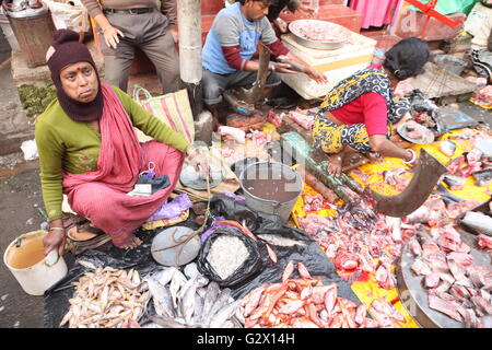 Frau Fischer Verkauf von Fischen in einem offenen Markt in Kolkata. Stockfoto