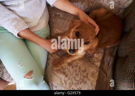 Nahaufnahme von Cocker Spaniel Besitzer kuscheln Hund auf Sofa Stockfoto