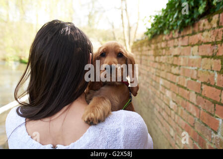 Cocker Spaniel Eigentümer halten Hund auf Outdoor-Spaziergang Stockfoto