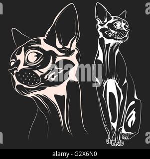 Cat1 Vektor Stock Vektor