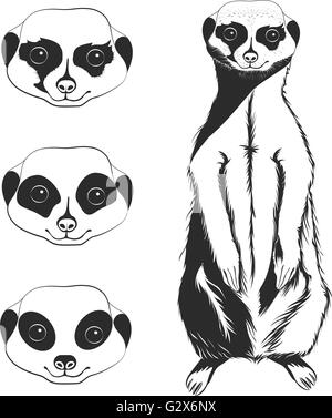 Erdmännchen Stock Vektor