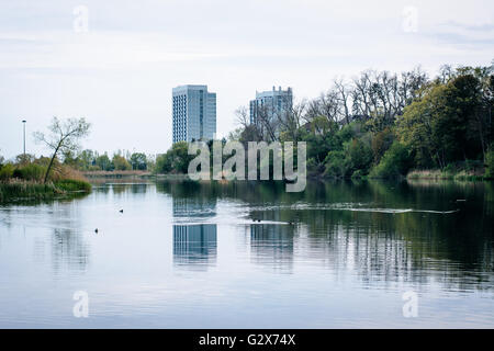 Eigentumswohnung-Hochhäuser und Grenadier Teich im High Park in Toronto, Ontario. Stockfoto