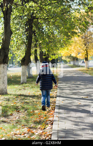 der kleine Junge geht auf den Herbst Stadt mit gelben Blättern Stockfoto