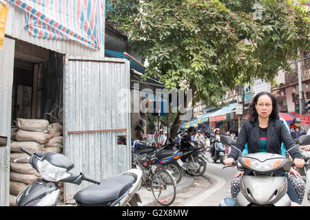 Hanoi, Vietnam, vietnamesische Dame, die mit ihrem Roller Moped durch Hanoi Altstadt, Vietnam, Asien reitet, ohne einen Helm zu tragen Stockfoto