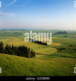 Grüne Hügellandschaft in der Parc Naturel Regional des Vulkane d ' Auvergne, Auvergne Vulkane regionaler Naturpark, Cezallier Stockfoto