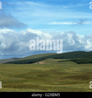 Grüne Hügellandschaft des Cezallier im Parc Naturel Regional des Vulkane d ' Auvergne, Auvergne Vulkane regionaler Naturpark Stockfoto