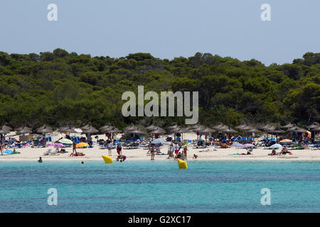 Strand von Platja Es Trenc, Colonia de Sant Jordi, Mallorca, Mallorca, Balearen, Spanien Stockfoto