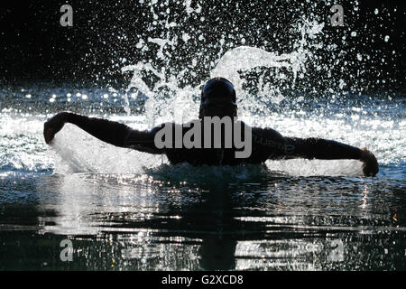 Mann, Schwimmen mit einem Schmetterling in einem See in Sonthofen, Allgäu, Bayern Stockfoto