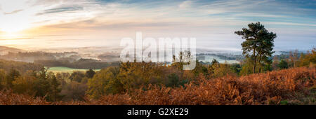 Panoramablick auf Süden von Leith Hill Herbst misty dawn Surrey Stockfoto