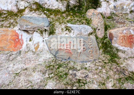 Mani-Stein mit der Aufschrift Sanskrit Mantra "Om Mani Padme Hum" Stockfoto