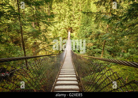 Hängebrücke in Lynn Canyon Park in Vancouver Stockfoto