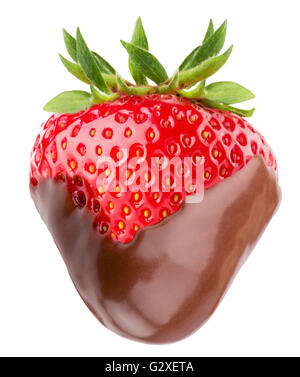 Erdbeeren in Schokolade auf dem weißen Hintergrund isoliert. Stockfoto