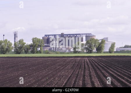 British Sugar Wissington Zuckerfabrik, West Norfolk, England UK Stockfoto