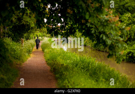 Man Walking allein auf der Stratford-upon-Avon-Kanal in der Nähe von Wilmcote, Warwickshire, England, UK Stockfoto