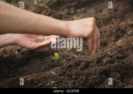 Frau im Garten säen Stockfoto