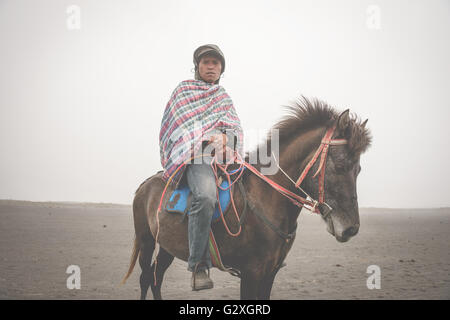 Reiter am Mt Bromo auf Java, Indonesien Stockfoto