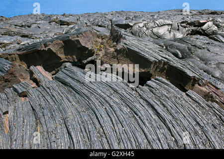 Fleckige Hawaii Lava sorgt für kühlen Hintergrund auf der Big Island... Stockfoto