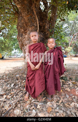 Zwei Novizen unter einem Baum, Kakku Pagode Komplex, Shan State in Myanmar Stockfoto