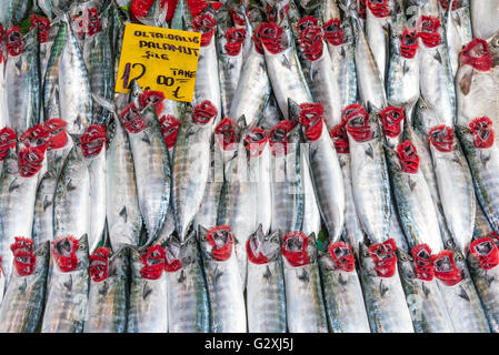 Frische Pelamide zum Verkauf auf einem Markt in Istanbul Stockfoto