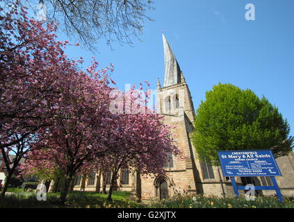 Kirschblüte in der Nähe der verdrehten Turm der Heiligen Maria und allen Heiligen Kirche in Chesterfield, Derbyshire an einem sonnigen Frühlingstag, UK Stockfoto