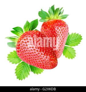Zwei Erdbeeren auf weißem Hintergrund isoliert Stockfoto