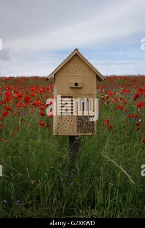 SONY DSC aus Holz Haus und Bug Insektenhotel mit einem Feld von Mohnblumen im Hintergrund Stockfoto