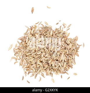 Fenchelsamen isoliert auf weißem Hintergrund Beschneidungspfad Stockfoto