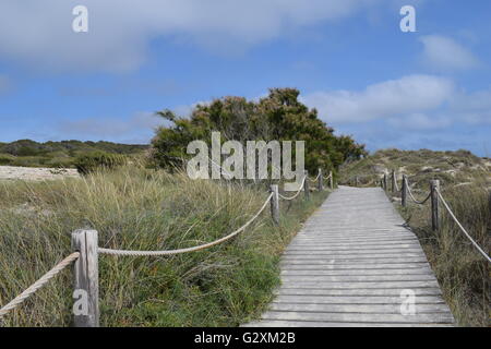 Holzsteg zum Schutz der Sanddünen am Es Arenals, Formentera, Balearen, Spanien Stockfoto