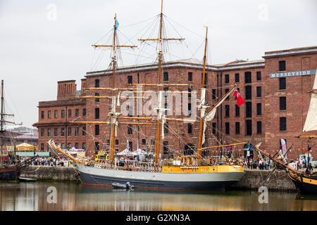 Kaskelot, festgemacht am Canning halbe Tide Dock als Massen, Touristen, Ausflügler, Besucher und Touristen, besuchen die Großsegler-Veranstaltung im Dockland bei den internationalen Mersey River Festival 2016, Stockfoto