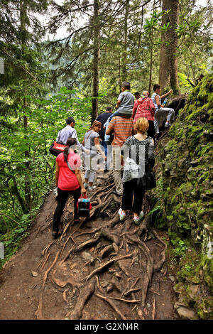 Einer der Pfade im Altindere-Nationalpark führt zu Panagia Sumela Kloster. Trabzon Provinz, Schwarzmeerregion, Türkei Stockfoto