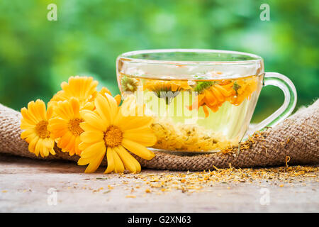 Tasse Kaffee- und Ringelblume calendula Blüten im Freien auf grünem Hintergrund. Stockfoto