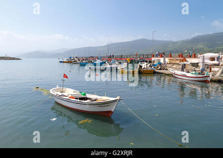 SINOP, Türkei - 14. Mai 2016: Blick auf kleine Fischerboote an Küste von Gerze Hafen in Sinop, auf blauen Himmelshintergrund. Stockfoto