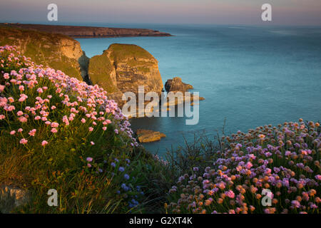 Sonnenuntergang am South Stack auf Anglesey Stockfoto