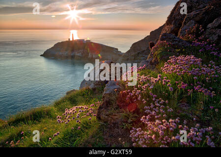 Sonnenuntergang am South Stack auf Anglesey Stockfoto