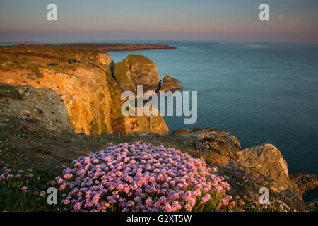 Sonnenuntergang am South Stack auf Anglesey Stockfoto