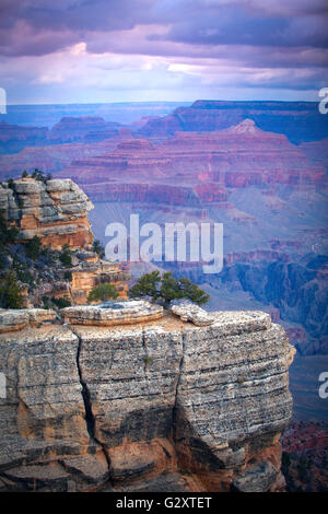 famous  view of Grand Canyon , Arizona, USA Stockfoto