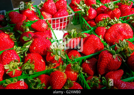 Frische Erdbeeren in einem Markt zu verkaufen Stockfoto