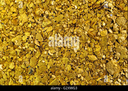 Haufen von alluvial Gold Staub gefunden in einem Fluss im Departement Gard Französisch in Süd-Ost-Frankreich Stockfoto