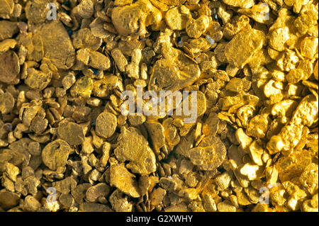 Haufen von alluvial Gold Staub gefunden in einem Fluss im Departement Gard Französisch in Süd-Ost-Frankreich Stockfoto