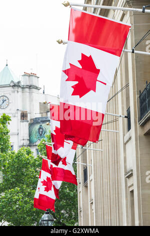 Kanadische Flaggen wehen vor der The High Commission of Canada auf dem Trafalgar Square in London, Großbritannien Stockfoto