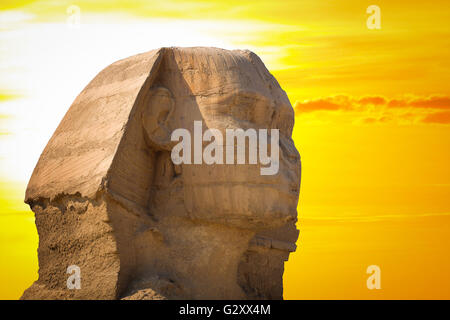 Wächter-Sphinx bewacht die Gräber der Pharaonen in Gizeh. Kairo, Ägypten Stockfoto